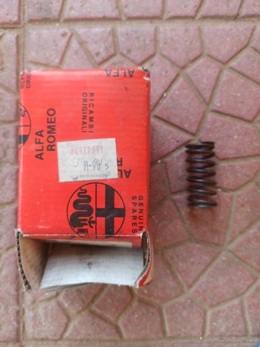 Molla valvola interna - alfa, 75